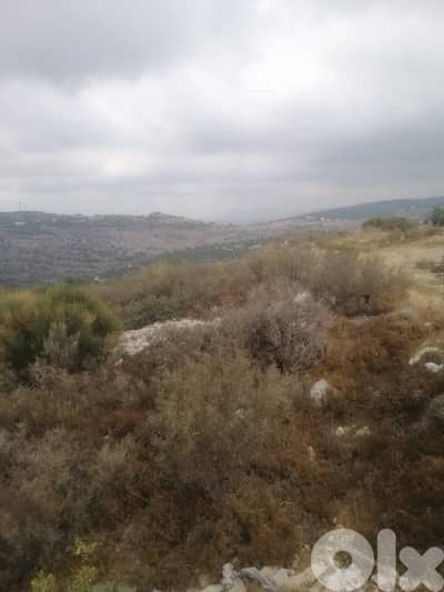 Land for sale in Racha-Batroun - أرض للبيع في راشا - البترون