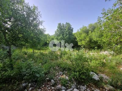 Land for sale in Toula-Batroun - أرض للبيع في تولا - البترون