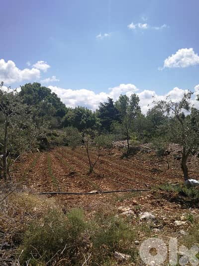 Land for sale in Smar Jbeil-Batroun - أرض للبيع في سمار جبيل - البترون