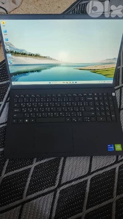 الأوزاعي مسبح ميامي