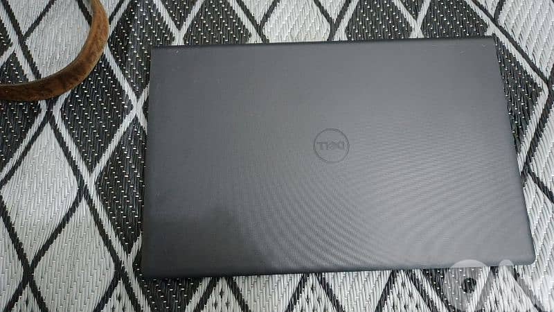 الأوزاعي مسبح ميامي 1