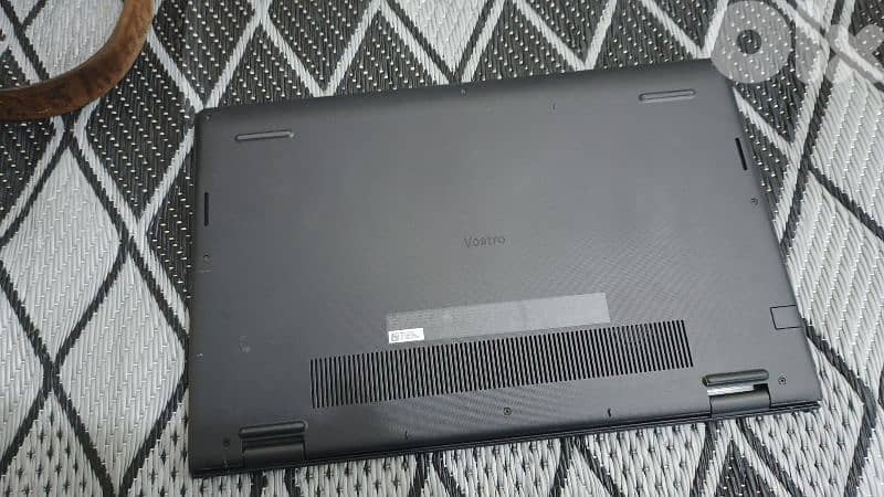 الأوزاعي مسبح ميامي 2