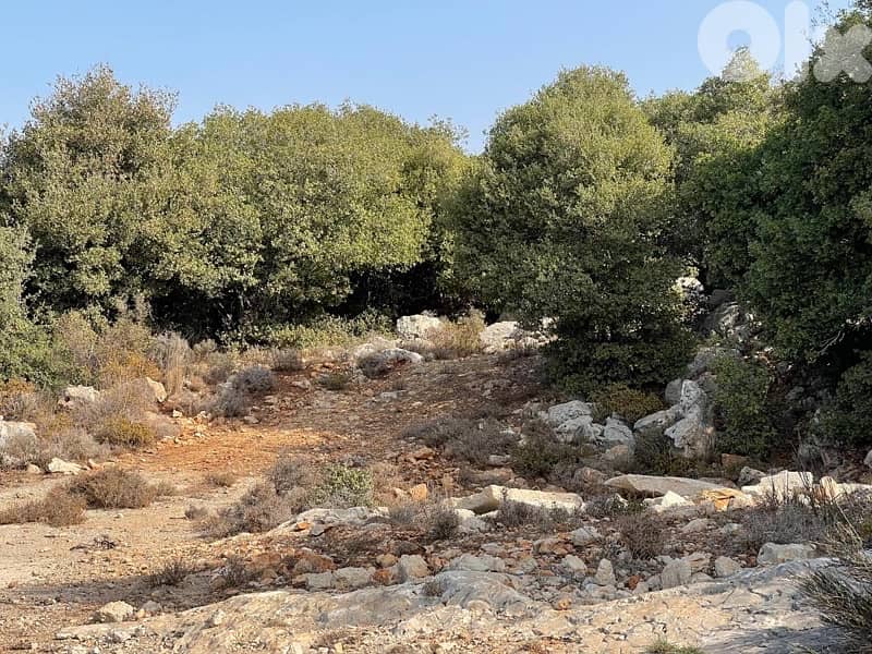 land for sale located batroun !! ارض للبيع في منطقه البترون 4