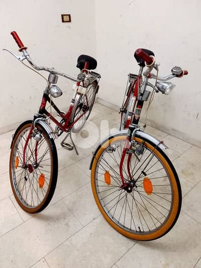 بسكليت Germany