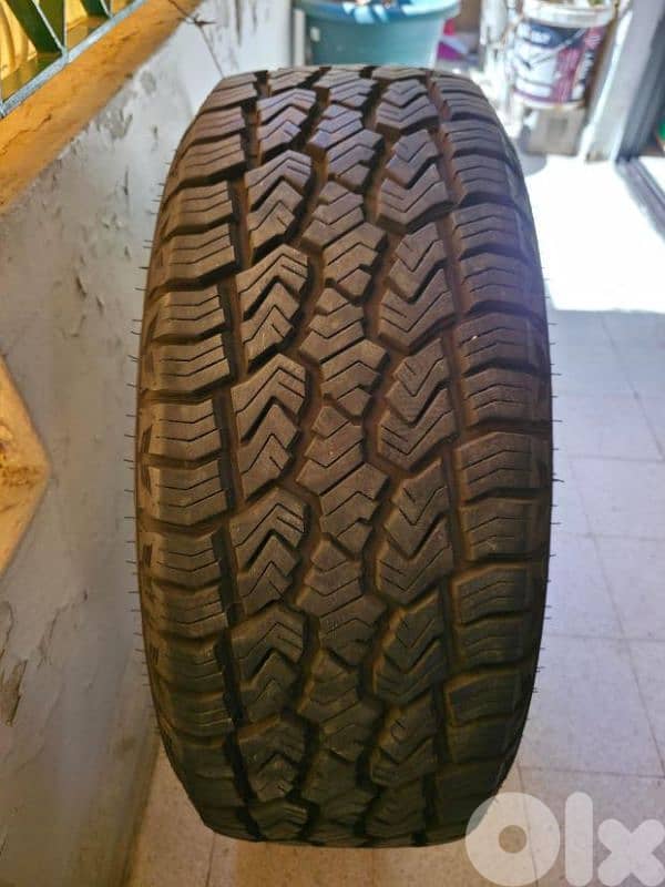 19 inch rims for mercedes m class 8