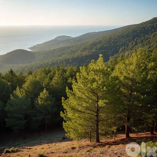 lands for sale in Doumaأرض للبيع في دوما 0