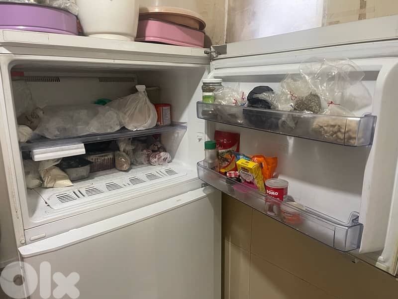 borad ma beh shii meshe kel shii 0