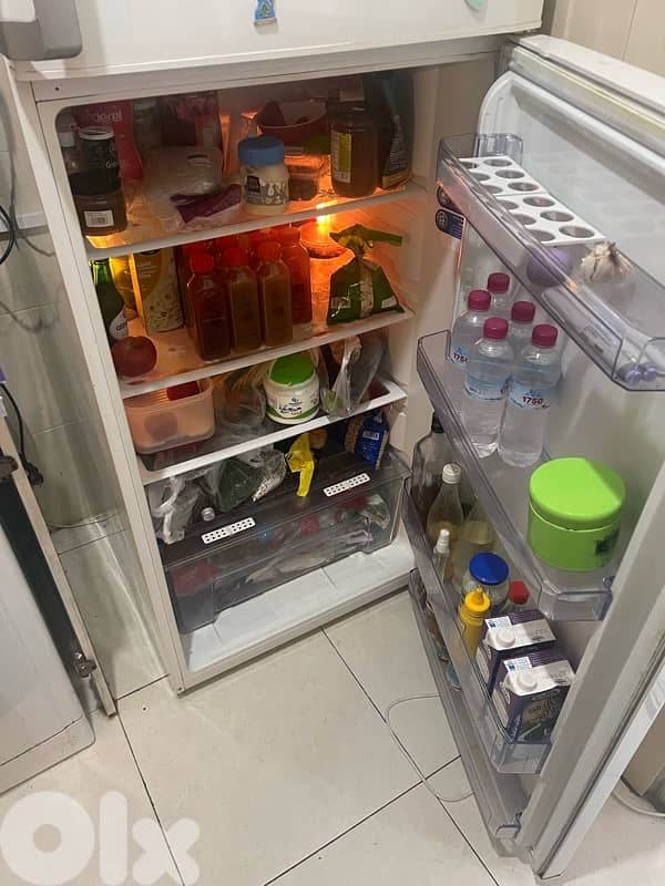 borad ma beh shii meshe kel shii 1