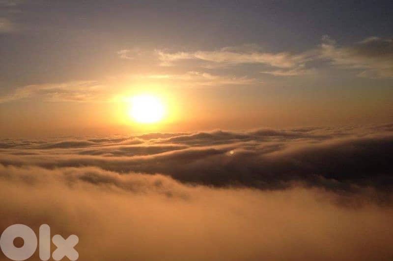 أرض للبيع في الجنوب إقليم التفاح 2