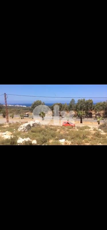 land for sale in anfeh أرض للبيع في أنفه 1