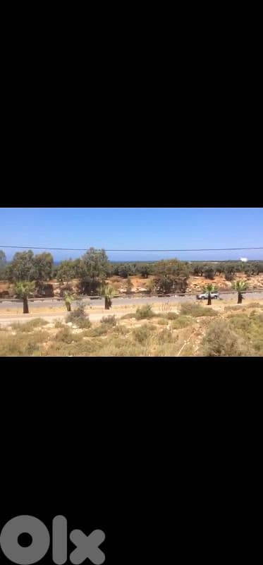 land for sale in anfeh أرض للبيع في أنفه 2