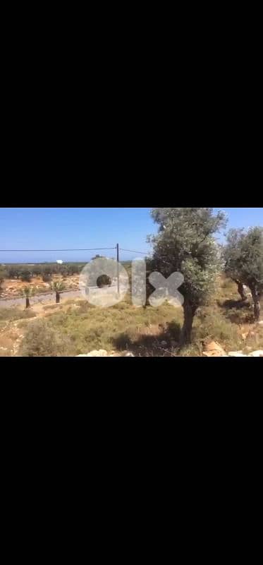 land for sale in anfeh أرض للبيع في أنفه 3