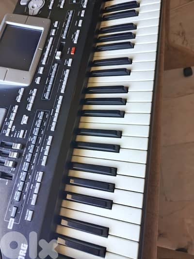 korg pa 800 black box