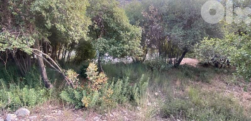 land for sale located batroun ( 8 min away ) 1