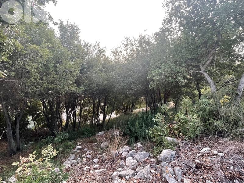 land for sale located batroun ( 8 min away ) 2