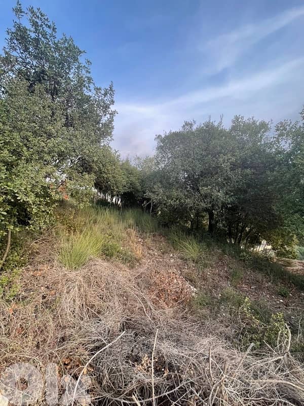 land for sale located batroun ( 8 min away ) 3