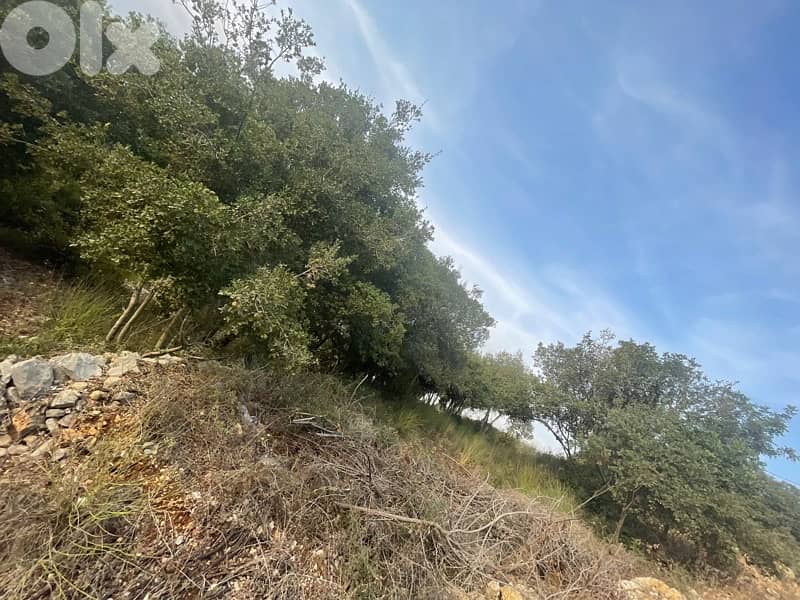 land for sale located batroun ( 8 min away ) 4