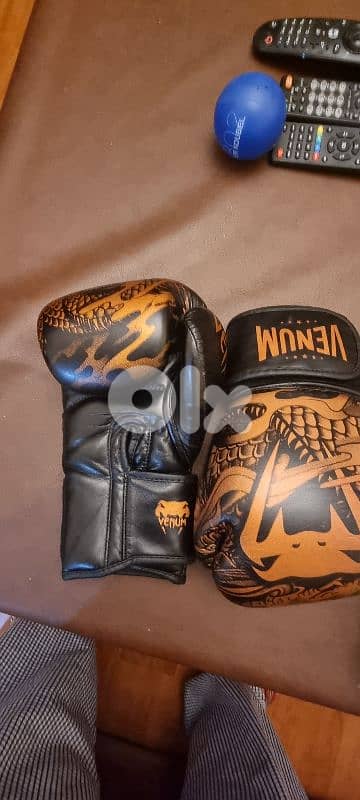 bargain price  original boxing gloves  venum 2