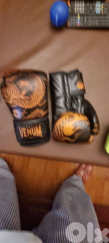 bargain price  original boxing gloves  venum 9