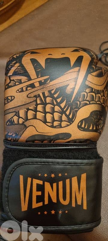 bargain price  original boxing gloves  venum 11