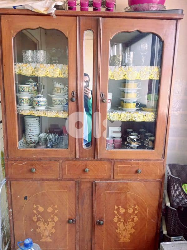 نملية للبيع 0