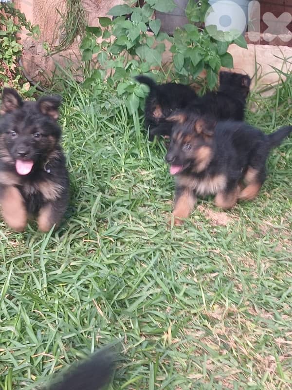 ‏منطقة جدره ‏ 1