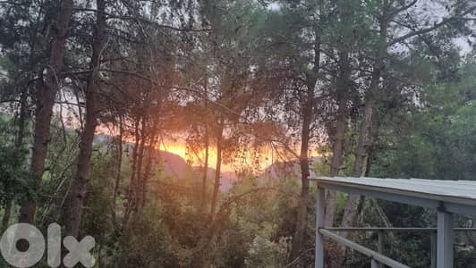 Land for sale in Al Miyasse -  أرض للبيع في الميّاسة