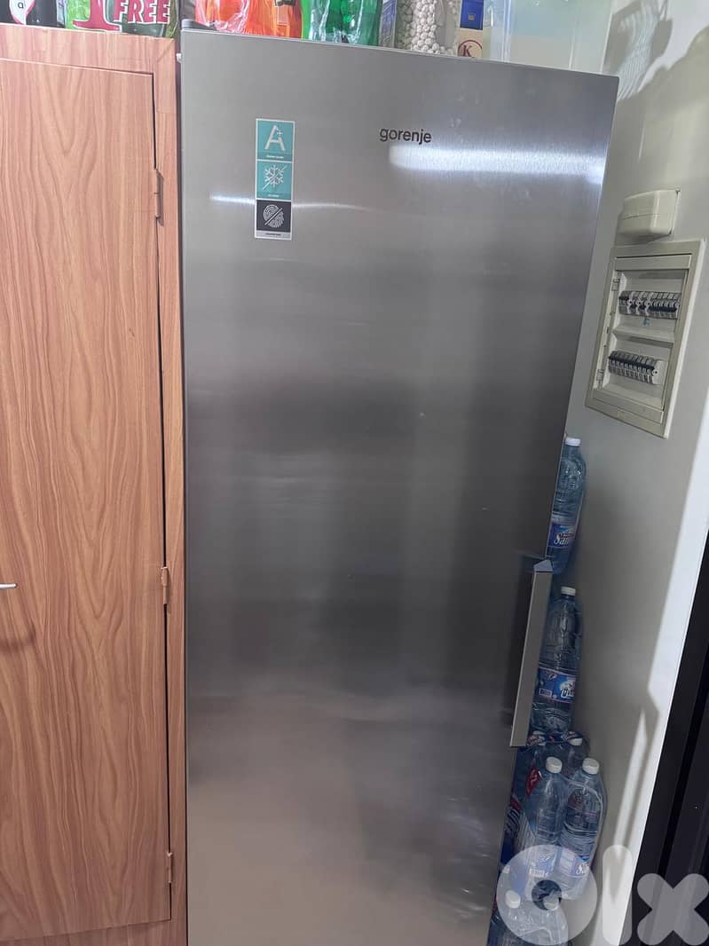 Gorenje FN6191CX-L. 0