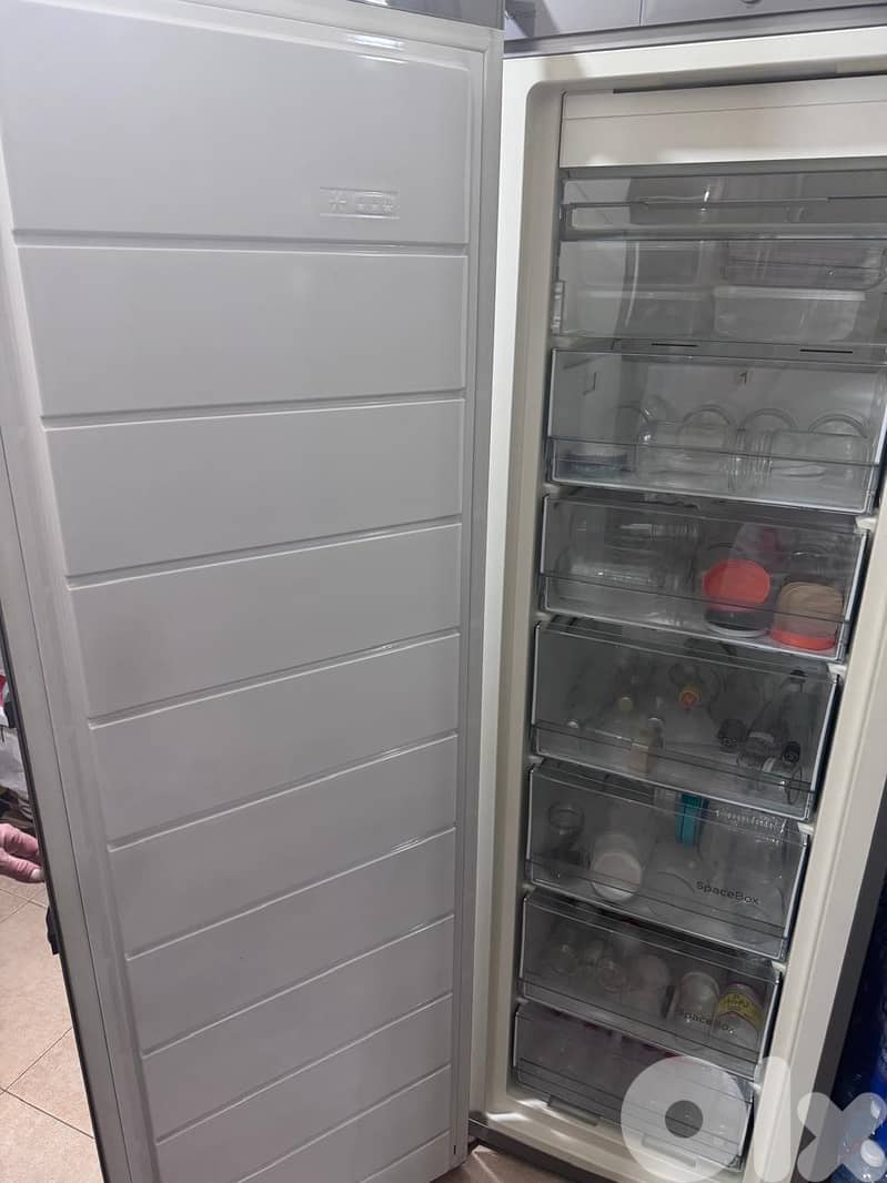 Gorenje FN6191CX-L. 2