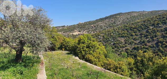 Land for sale in Chabtine-Batroun أرض للبيع في شبطين - البترون