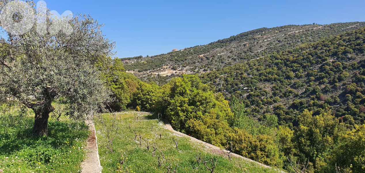 Land for sale in Chabtine-Batroun أرض للبيع في شبطين - البترون 0