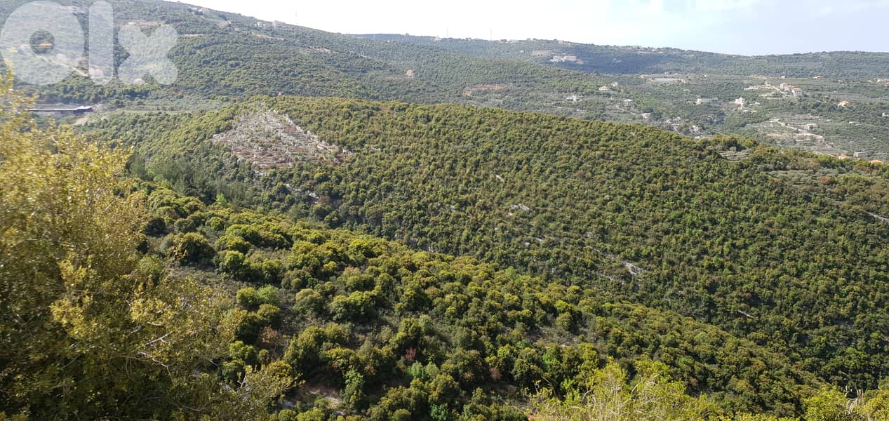 Land for sale in Chabtine-Batroun أرض للبيع في شبطين - البترون 3