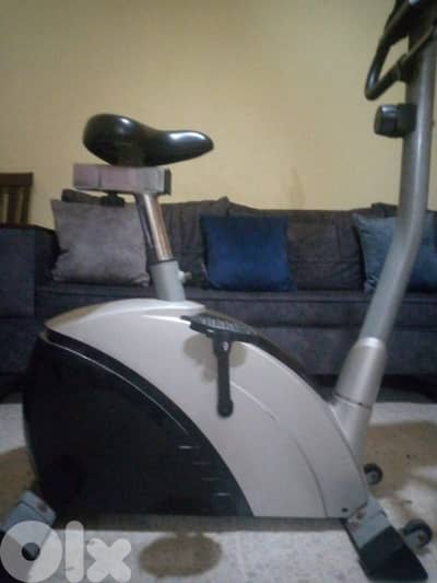 برج البراجنة