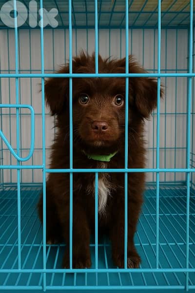 أحلى الاسعار