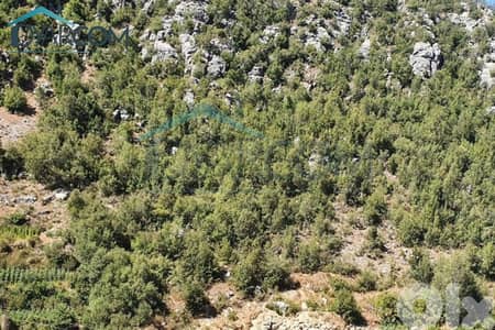 DY2973 - Amez Great Deal! Spacious Land for Sale!