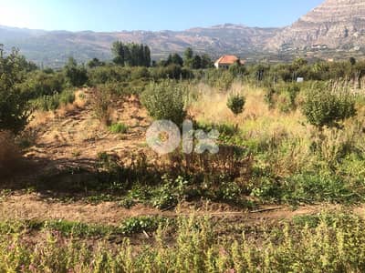 Land for Sale in Akoura
