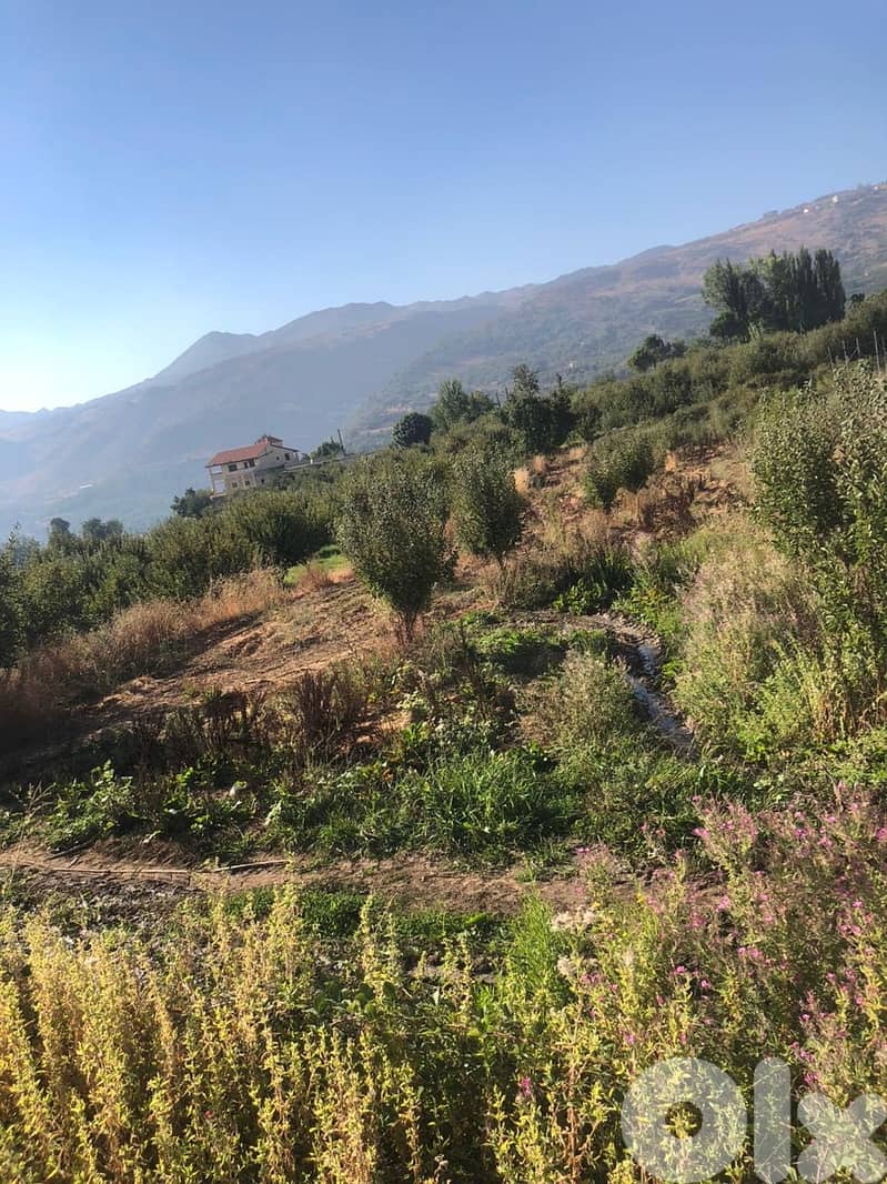 Land for Sale in Akoura 1