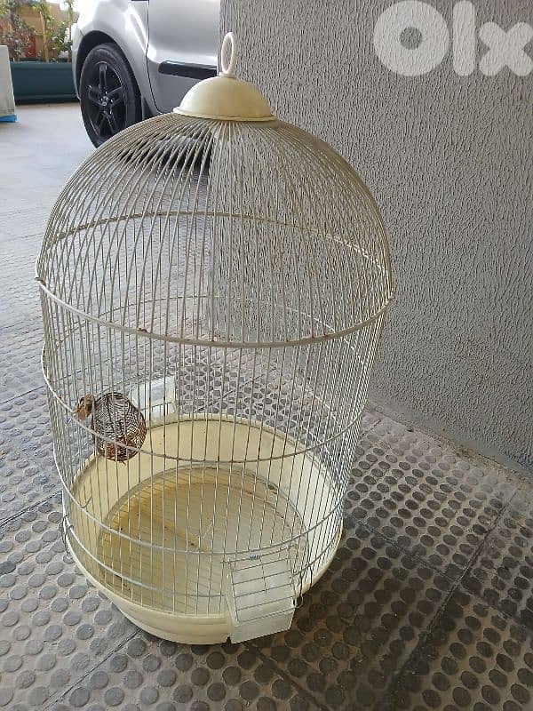 اقفاص للطيور مستعملة 2