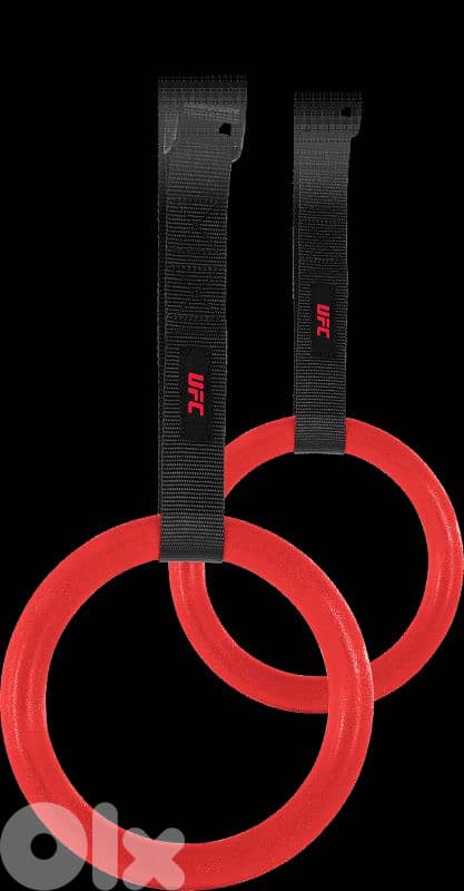 UFC Pull Up Rings 1