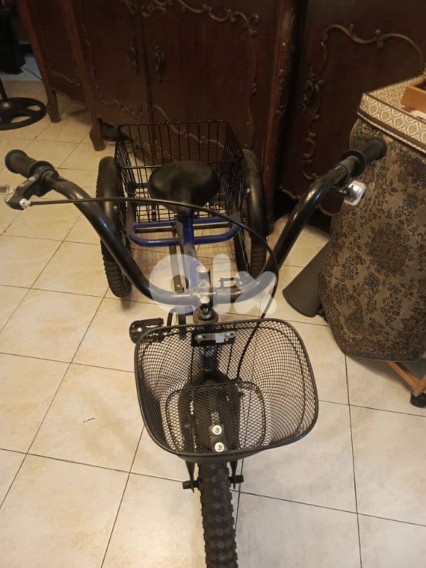 tricycle 1