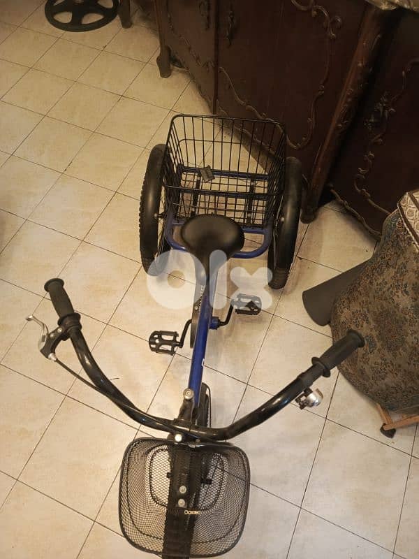 tricycle 2