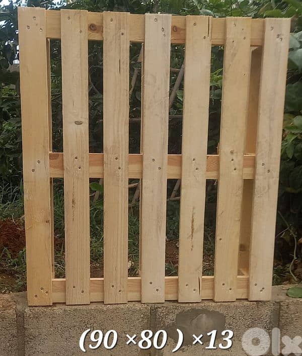 جونيه البوار 14