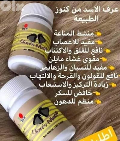 فطر عرف الاسد كنز من كنوز الطبيعيه