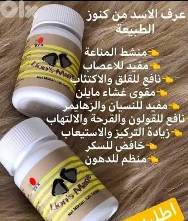 فطر عرف الاسد كنز من كنوز الطبيعيه 0