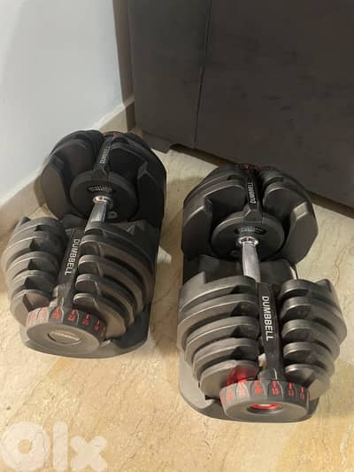 2 adjustable dumbbells 40kg each one