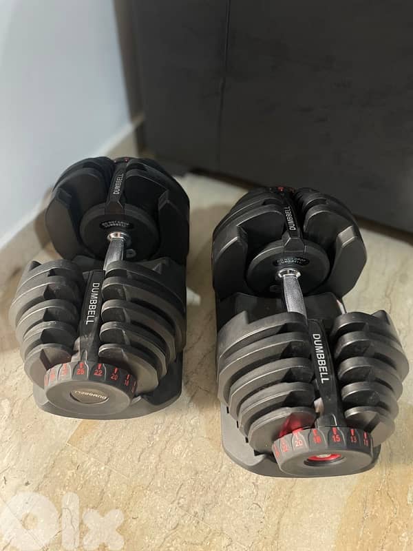 2 adjustable dumbbells 40kg each one 3