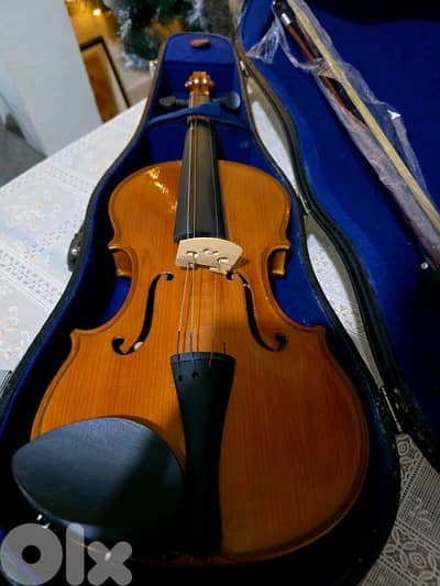 violin