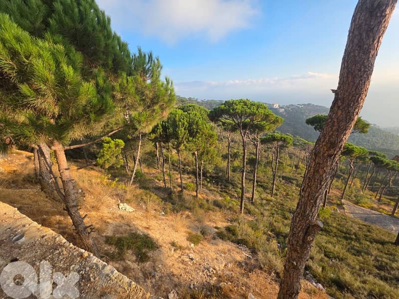 أرض للبيع في عيرون Land for sale in Ayroun 1