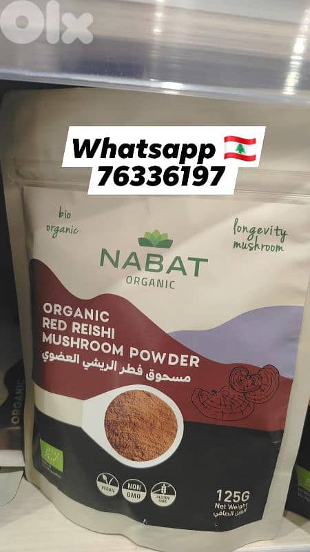 مسحوق الفطر الريشي reishi mushroom powder In lebanon 0