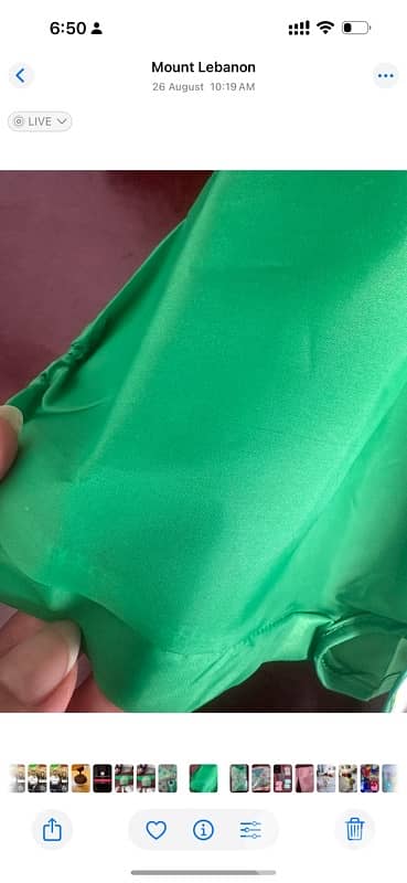 bavette for feeding 3